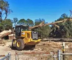 Servicii Profesionale de Defrișare și Curățare Terenuri - 2