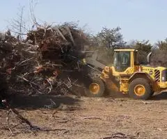 Servicii Profesionale de Defrișare și Curățare Terenuri - 3