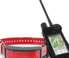 Zgarda vanatoare SportDog TEK 2.0 GPS + modul dresaj