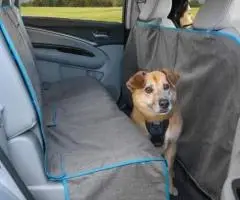 Husa bancheta spate masina - Coast to Coast Hamock Kurgo