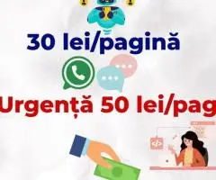 Traduceri IT si documente tehnice – Sector 2 Bucuresti - 3