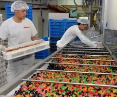 fabrica de jeleuri Germania