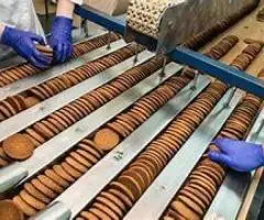 fabrica de biscuiti germania