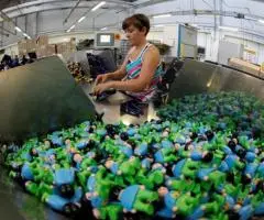 fabrica de jucarii Germania