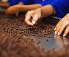 fabrica ciocolata germania