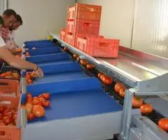 depozit sortat rosii germania