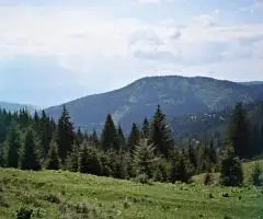 Fotografie NFT Ediție Limitată - Peisaj Carpați 1/1