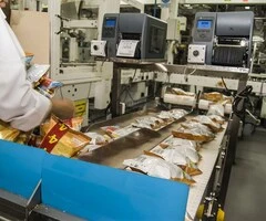 fabrica de chipsuri Germania