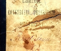 Libret militar, 1895