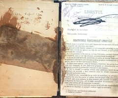 Libret militar, 1895 - 2