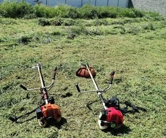 Tundem buruieni lăstăriș defrișări ierbicidăm