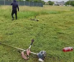 Tundem buruieni lăstăriș defrișări ierbicidăm - 2