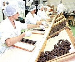 depozite ciuperci germ