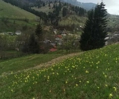 Teren intravilan