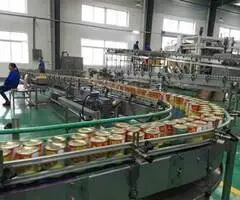 fabrica de conserve Germania