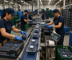 depozit sortat afine germania