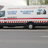 -vulcanizare mobila