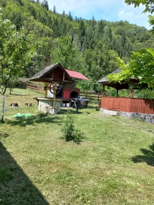 Fotografia 5