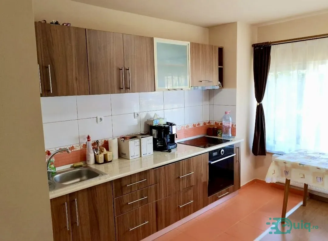 Vilă deosebită P+E+M | Vătășești | Comuna Golești — fotografia 4