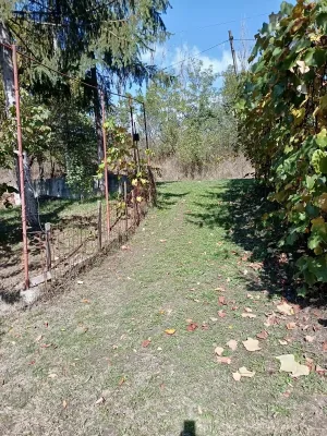 Fotografia 5