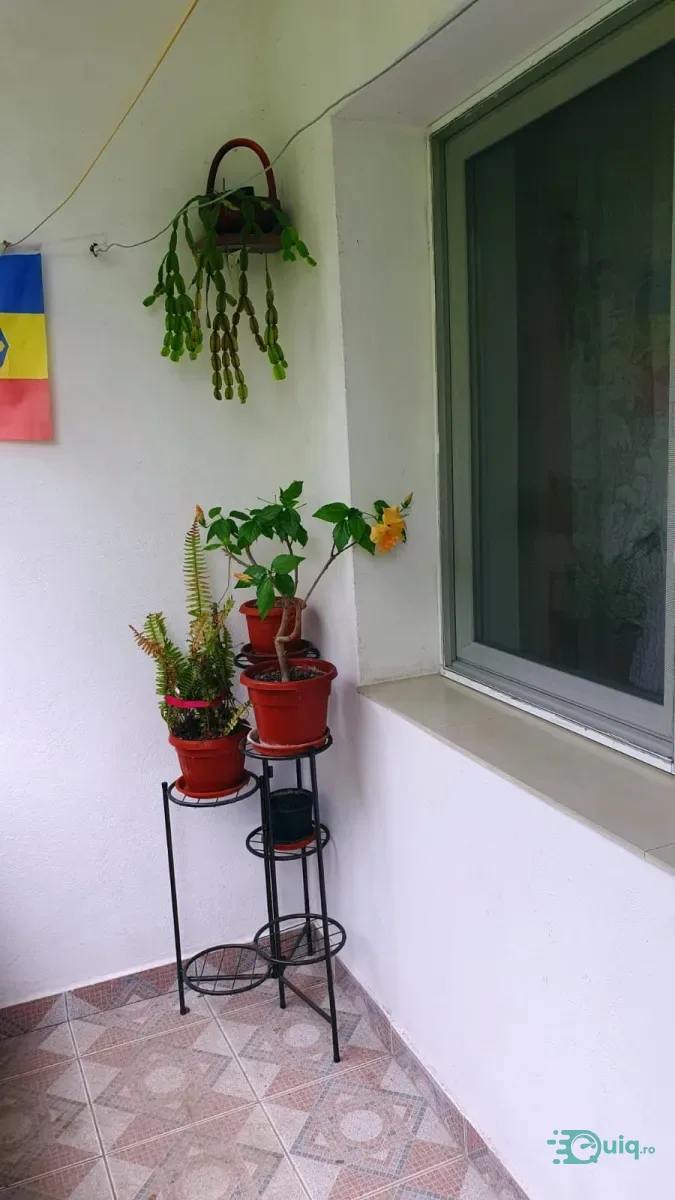 Apartament 3 camere | Parter | Băile Govora — fotografia 9