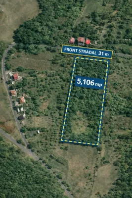 TEREN 5.106 MP | RUNCU | VALEA BABEI
