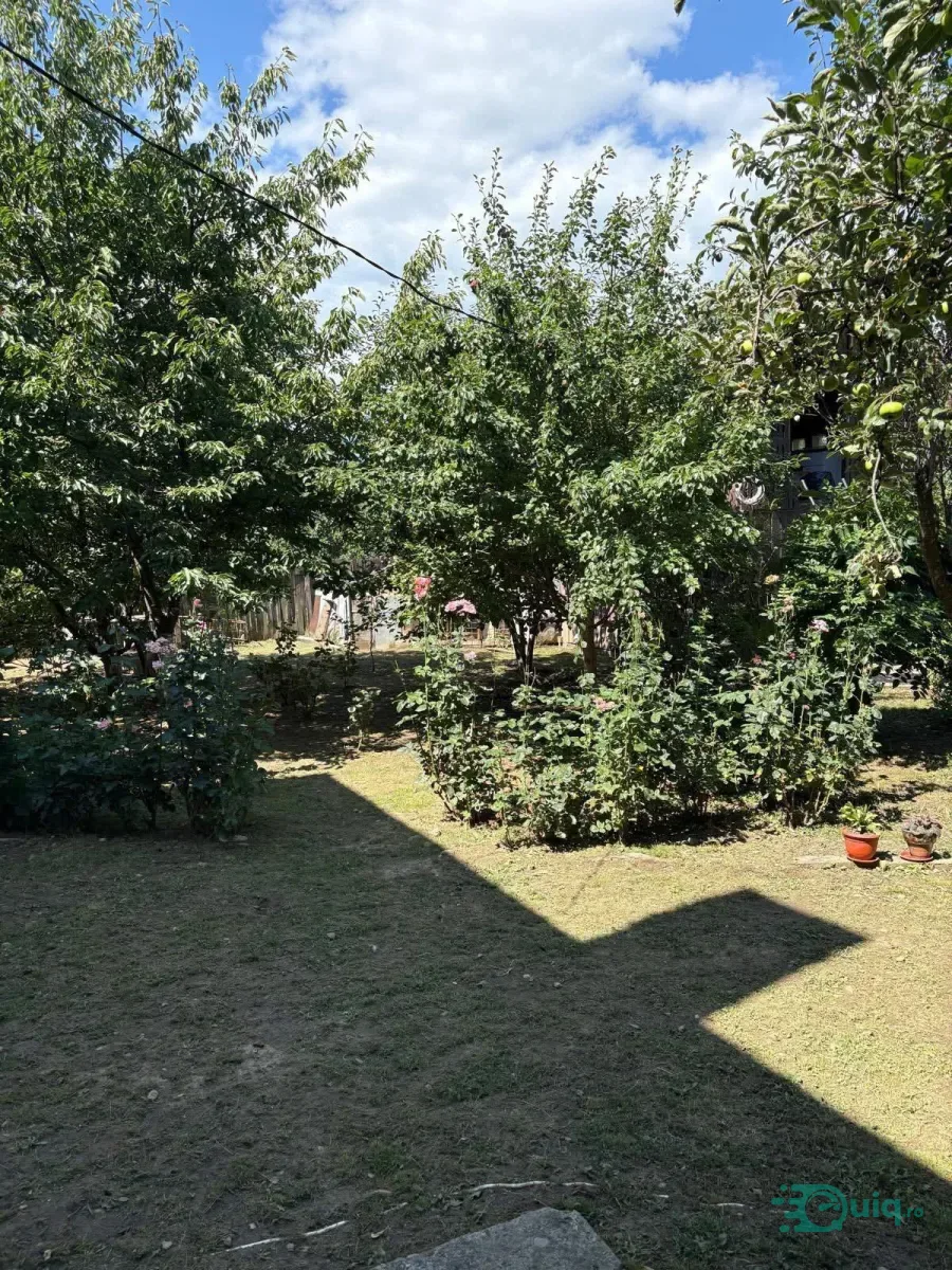 VILĂ 300 MP | TEREN 800 MP | CALIMANESTI-JIBLEA NOUĂ — fotografia 8