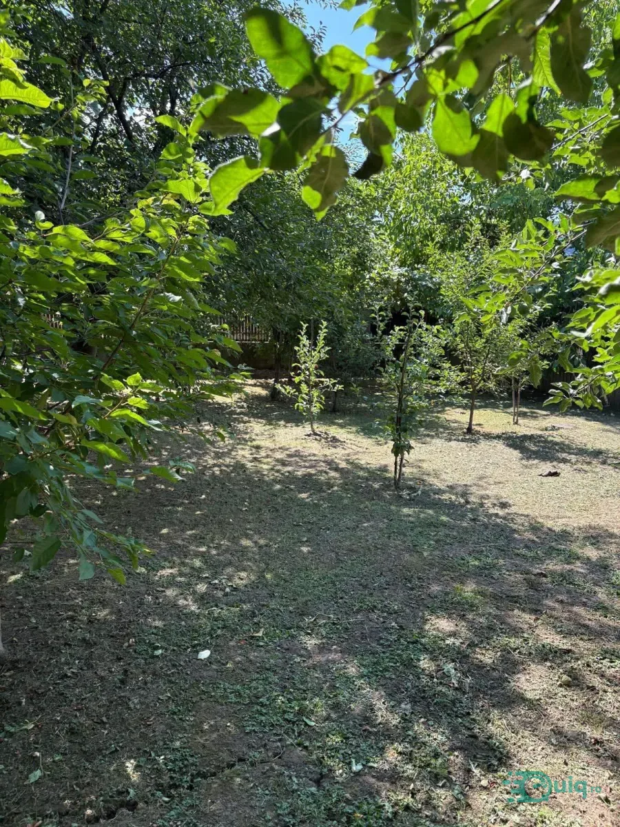 VILĂ 300 MP | TEREN 800 MP | CALIMANESTI-JIBLEA NOUĂ — fotografia 12