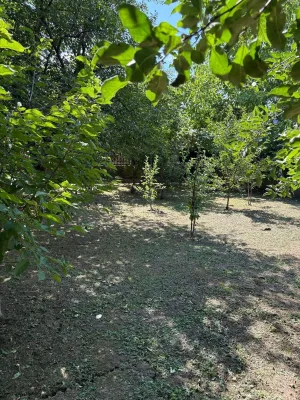 Fotografia 12