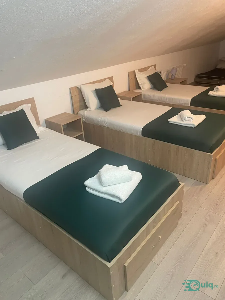 COMPLEX TURISTIC PE 5.574 MP TEREN | CĂLIMĂNEȘTI — fotografia 11