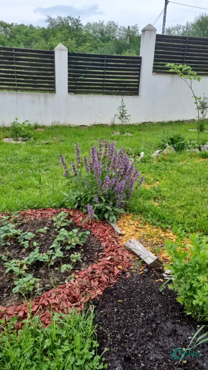 CASĂ MODERNĂ | ÎNTRE HOREZU ȘI POLOVRAGI — fotografia 7