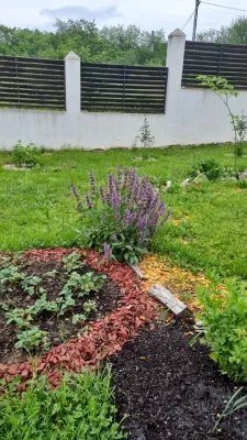 Fotografia 7