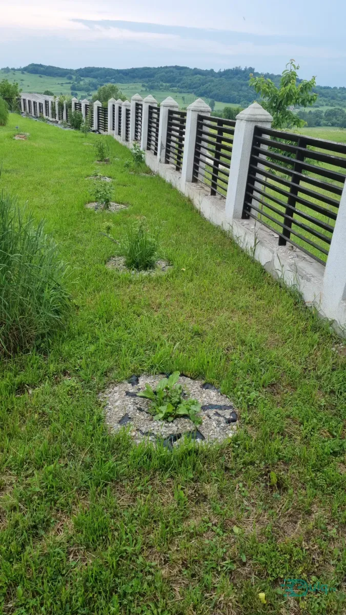 CASĂ MODERNĂ | ÎNTRE HOREZU ȘI POLOVRAGI — fotografia 11