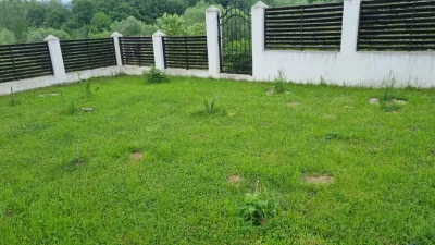 Fotografia 12