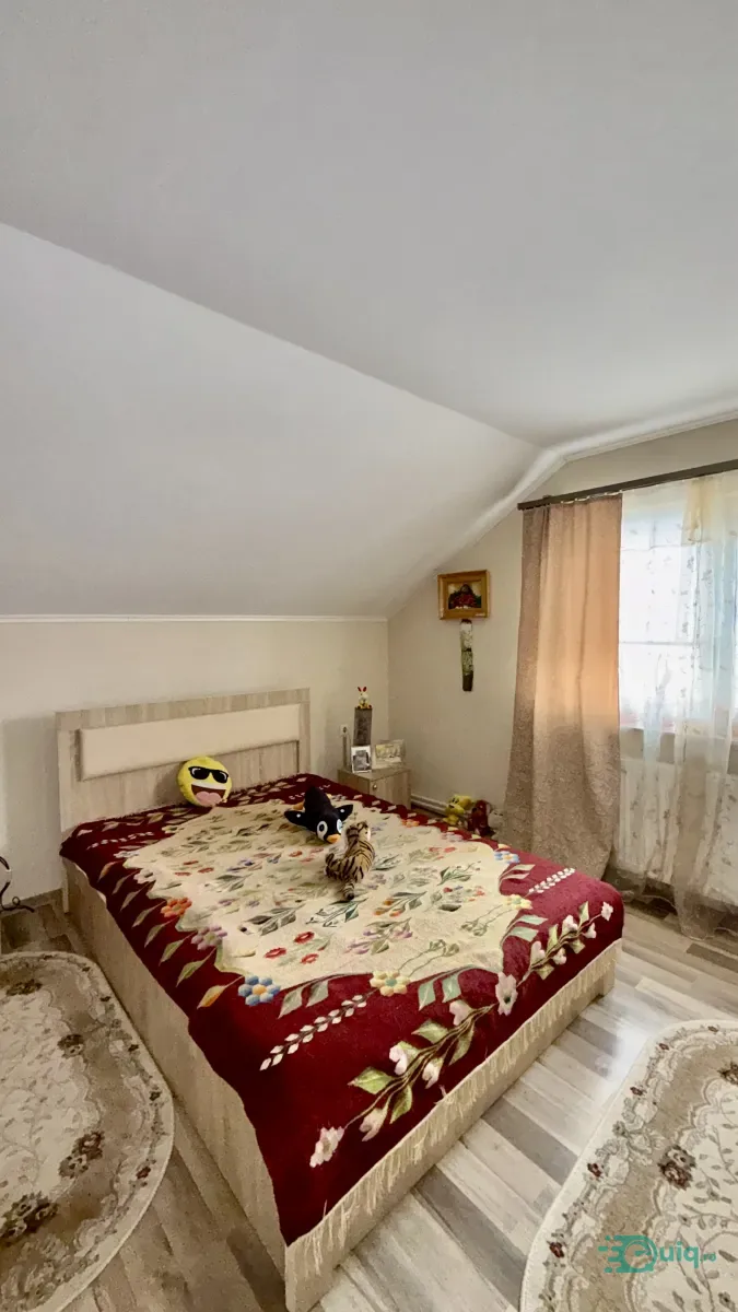 Vilă cu piscină | Livadă | Curte 3.000 mp | Budești-Vâlcea — fotografia 4