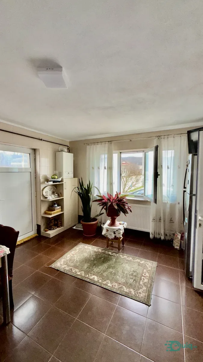 Vilă cu piscină | Livadă | Curte 3.000 mp | Budești-Vâlcea — fotografia 12