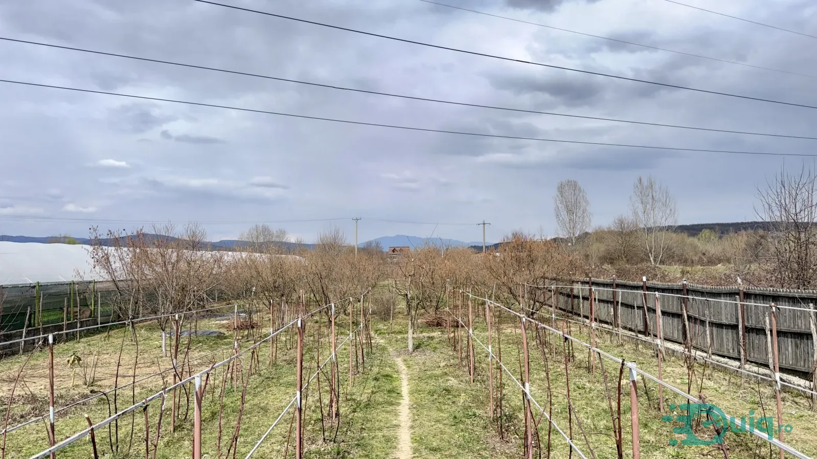 Vilă cu piscină | Livadă | Curte 3.000 mp | Budești-Vâlcea — fotografia 14