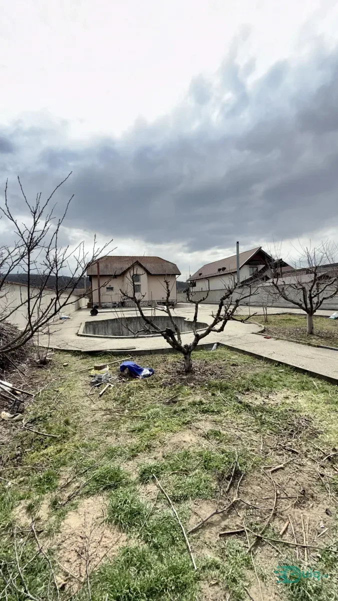 Vilă cu piscină | Livadă | Curte 3.000 mp | Budești-Vâlcea — fotografia 16