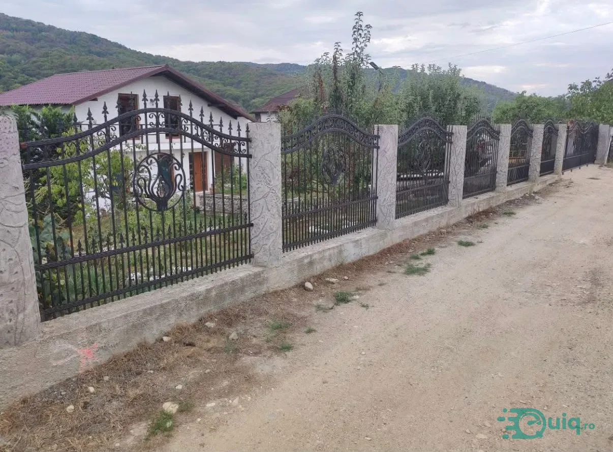CASĂ INDIVIDUALĂ P+M | 380 MP TEREN | GOLESTI-ALDEȘTI — fotografia 2