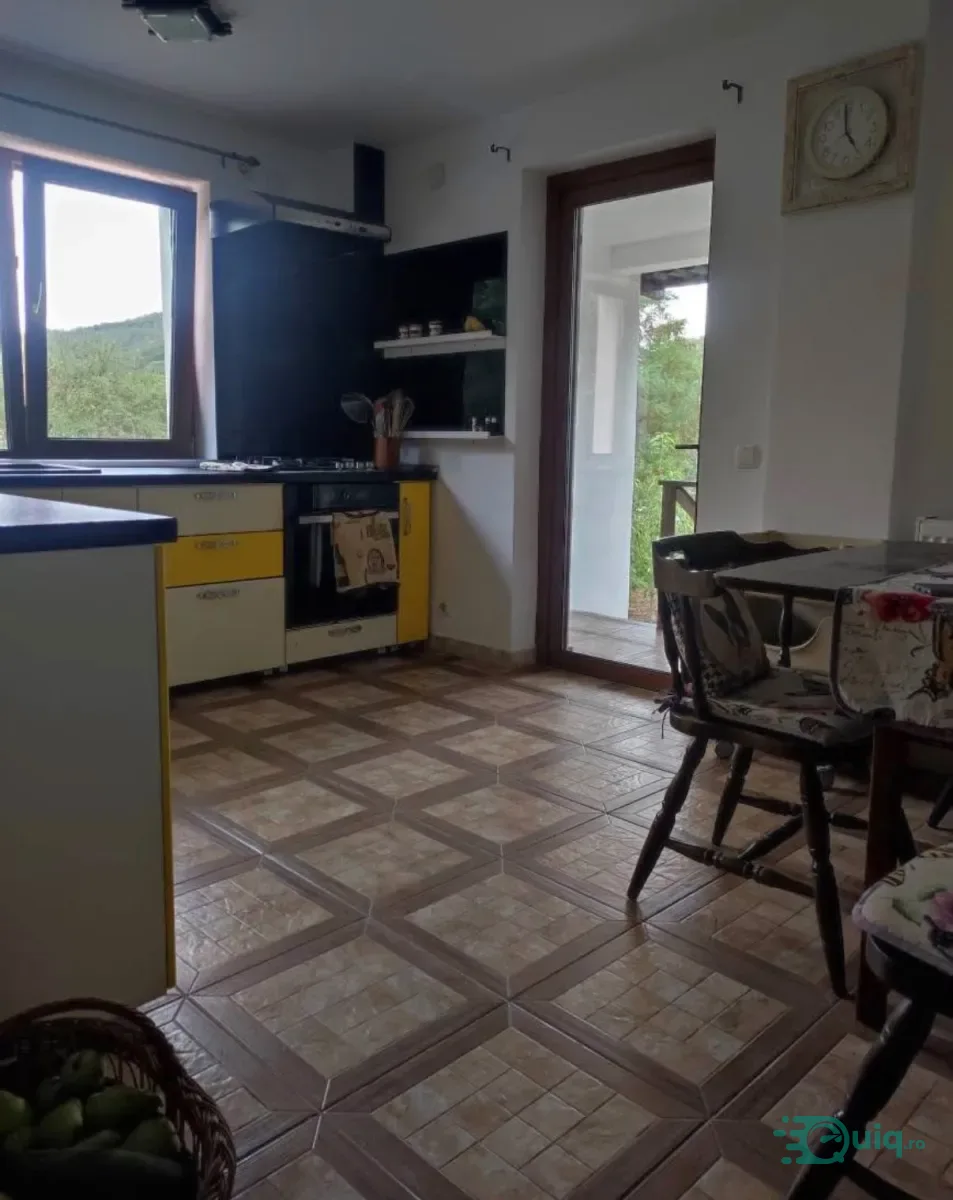 CASĂ INDIVIDUALĂ P+M | 380 MP TEREN | GOLESTI-ALDEȘTI — fotografia 3