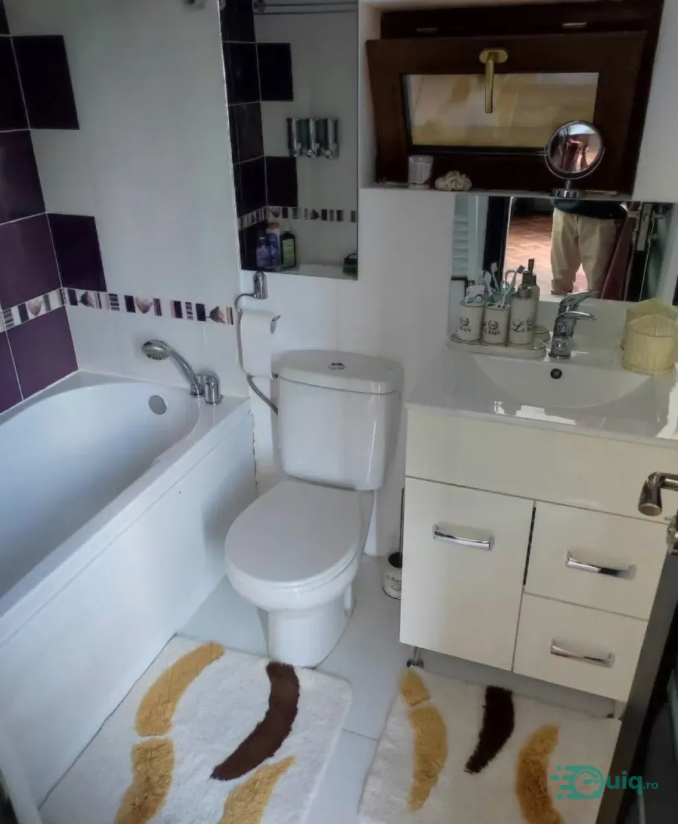 CASĂ INDIVIDUALĂ P+M | 380 MP TEREN | GOLESTI-ALDEȘTI — fotografia 5