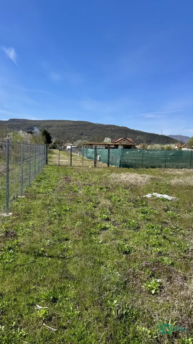 TEREN INTRAVILAN | 1.255 mp | BUJORENI-OLTENI — fotografia 5