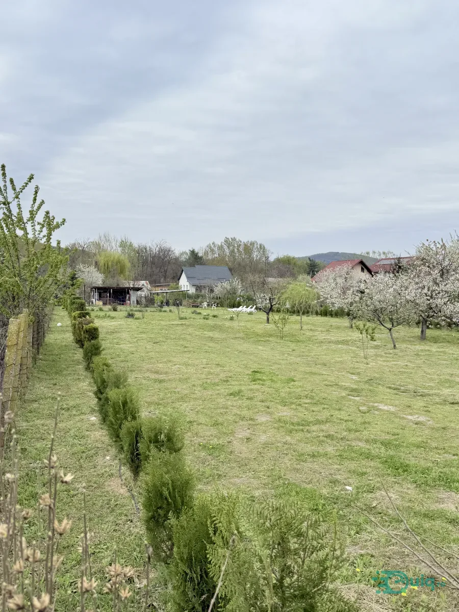 Teren intravilan 1.845 mp de vânzare în Ostroveni, ideal construcții — fotografia 1