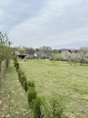Teren intravilan 1.845 mp de vânzare în Ostroveni, ideal construcții