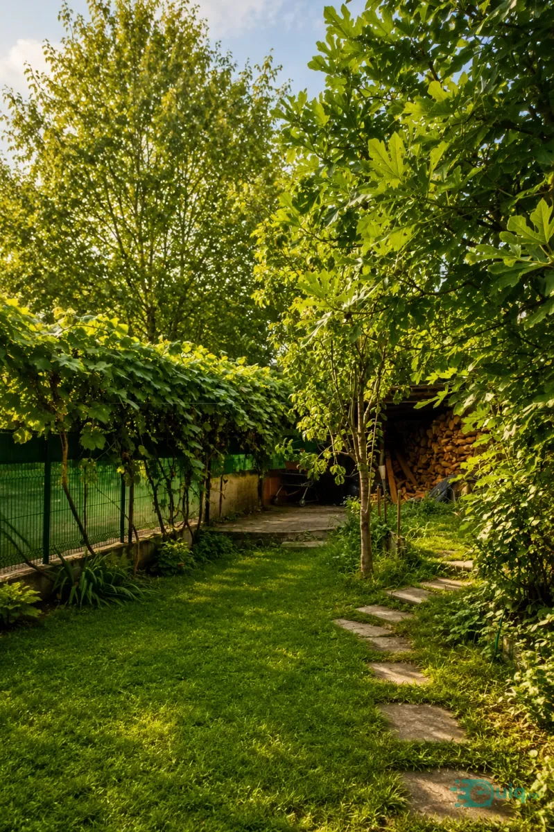 Vilă in Vladesti S+P+1E+M cu 5 dormitoare și 5 băi — fotografia 2