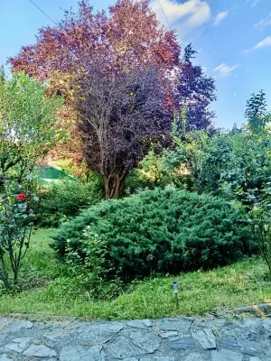 Fotografia 5
