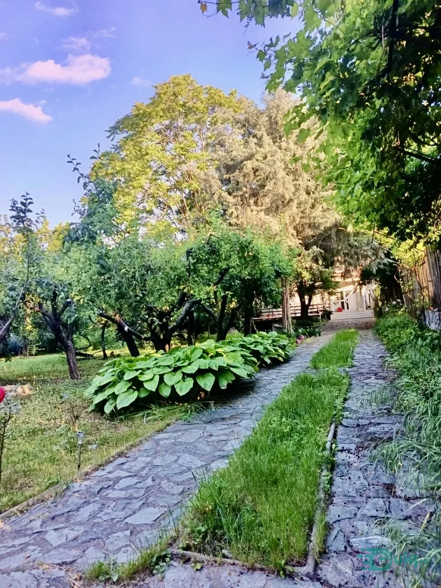 VILA CU 480 MP | SAUNǍ | GARAJ | 750 MP TEREN | ZONA NORD — fotografia 7