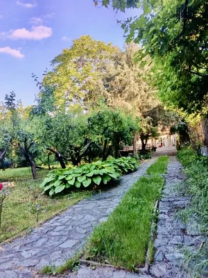 Fotografia 7