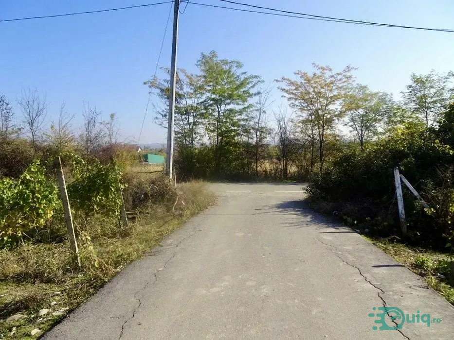 Teren Intravilan 2.600 mp cu Dublă Deschidere în Dealul Viilor, Drăgă… — fotografia 1