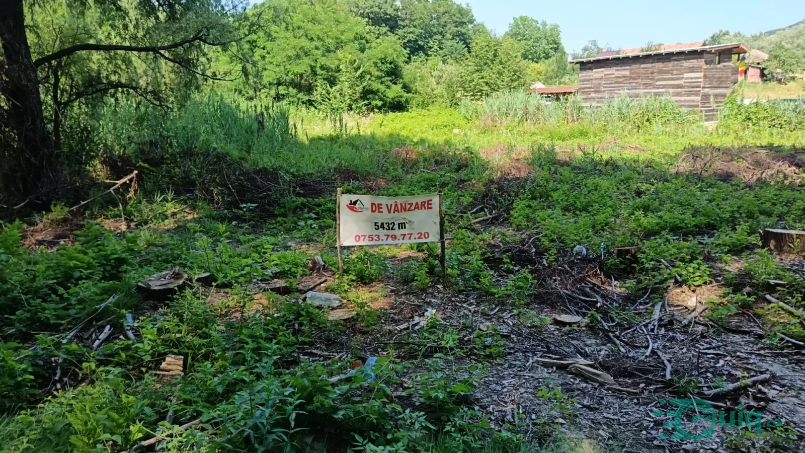 2 LOTURI ALĂTURATE | 5.432 MP | 13,5 €/MP | FEDELEȘOIU – DĂEȘTI. — fotografia 1